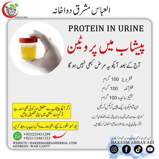 Protein in Urine
